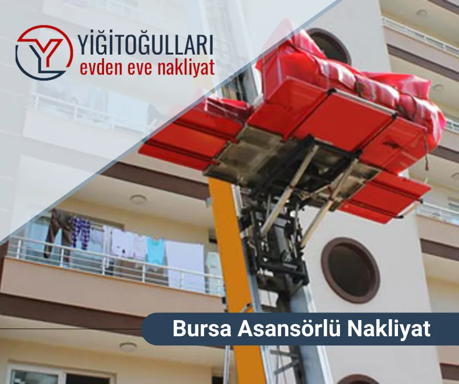 Asansörlü Taşımacılık